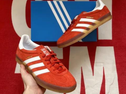 Adidas Gazelle Indoor Bold Orange HQ8718 SneakerMood Hand-held shoe view
