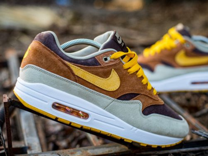 Nike Air Max 1 Duck Pecan