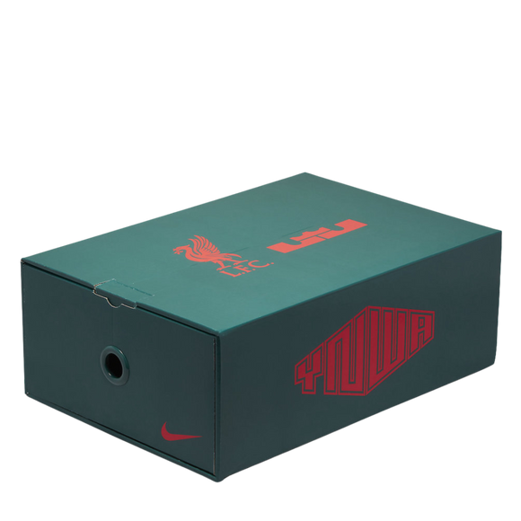 Nike Air Max 1 Liverpool x Lebron