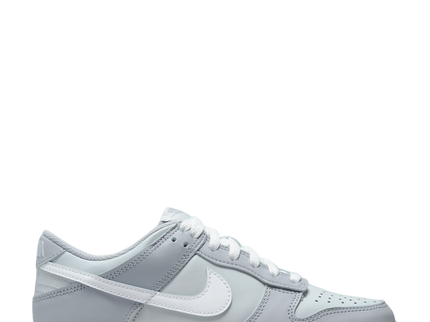 Nike Dunk Low Two Tone Grey GS