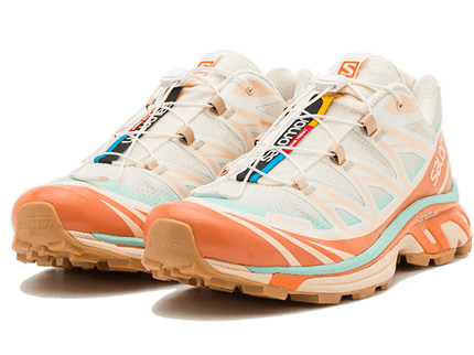Salomon XT-6 Skyline Sun Baked L41629800 SneakerMood Pair, front three-quarter view