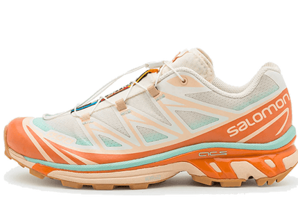 Salomon XT-6 Skyline Sun Baked L41629800 SneakerMood Side view, toe pointing left