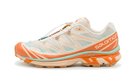 Salomon XT-6 Skyline Sun Baked L41629800 SneakerMood Side view, toe pointing left
