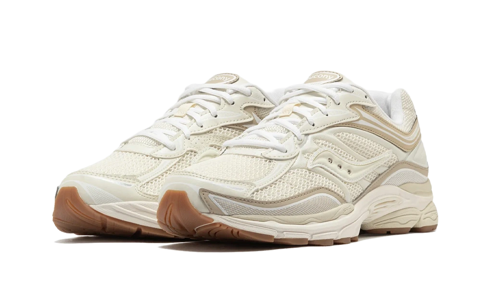 Saucony ProGrid Omni 9 Tomorrow, Meet Yesterday Beige Gum S70832-5 SneakerMood Pair, front three-quarter view