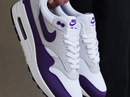 Nike Nike Air Max 1 'Field Purple'