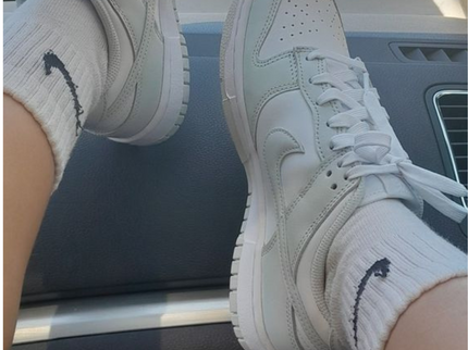 Nike Dunk Low Fog Grey